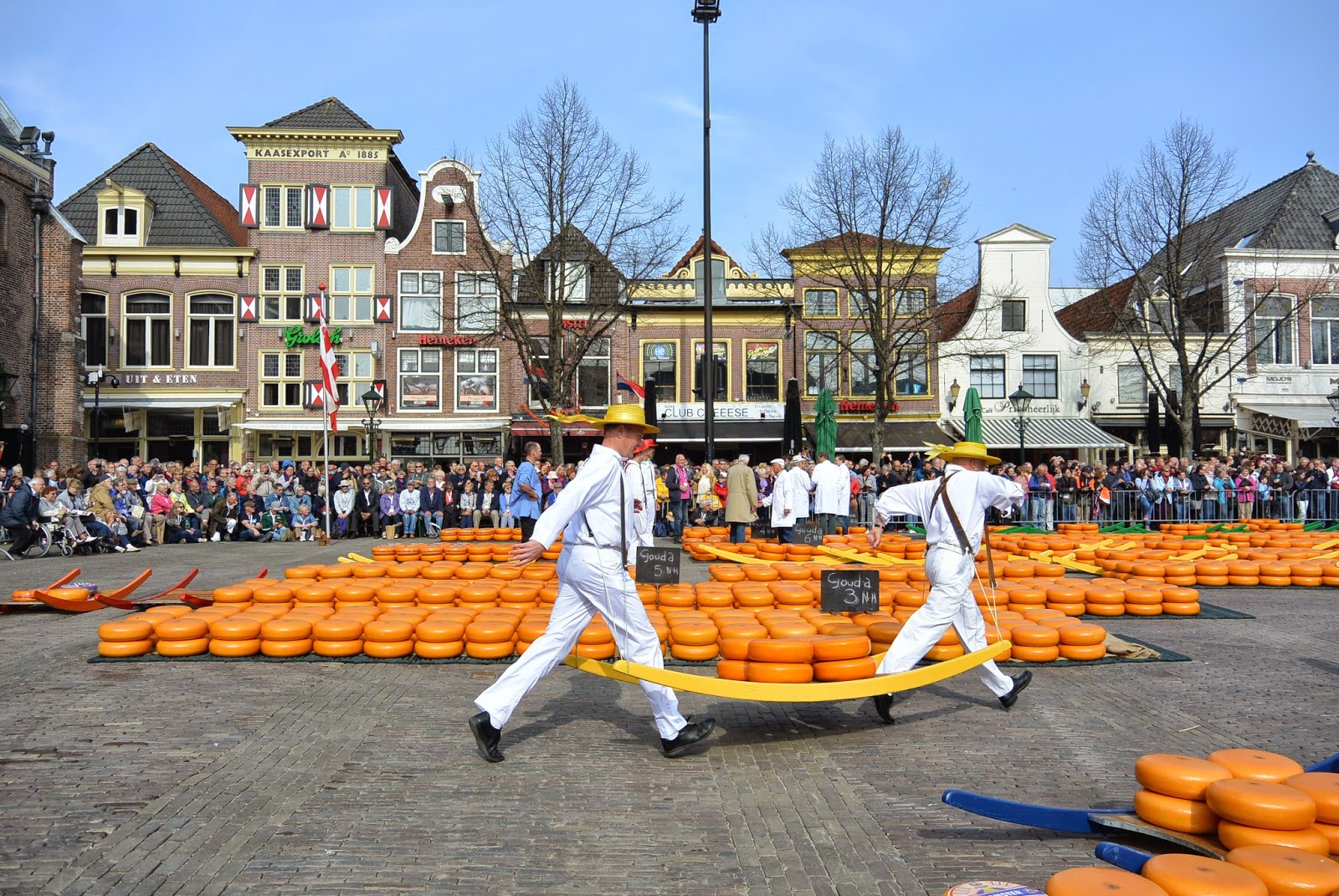 alkmaar-4